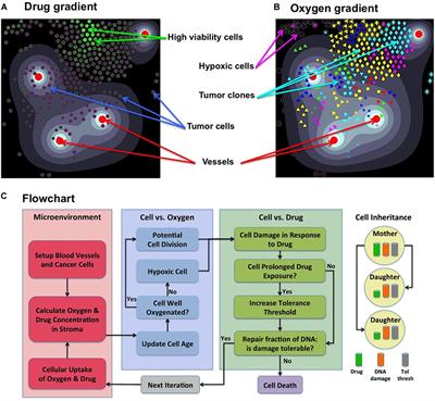 Drug-Induced Resistance in Micrometastases: Analysis of Spatio-Temporal Cell Lineages